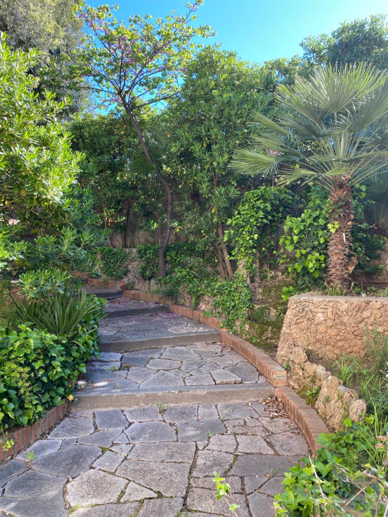 Villa Il Boschetto San Vincenzo Exterior photo